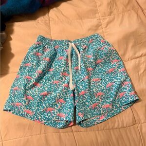 Chubbies swimming shorts